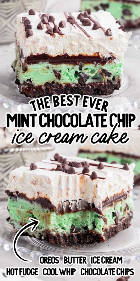 Mint Ice Cream Cake, Chocolate Chip Ice Cream Cake, Mint Chocolate Chip Ice Cream Cake, Nba Party, Ice Cream Oreo, Mint Chocolate Chip Milkshake, Perfect Cheesecake, Mint Desserts, Mint Chocolate Ice Cream