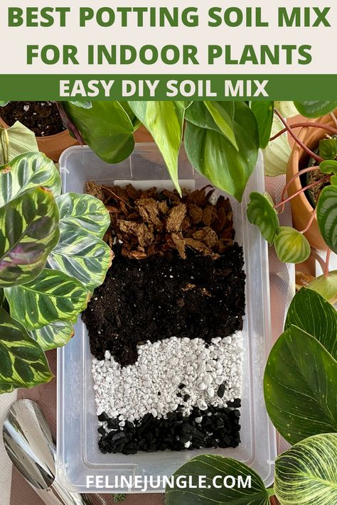 Best Potting Soil Mix for Indoor Plants | Easy DIY Soil Mix Soil Mix For Indoor Plants, Soil For Indoor Plants, Indoor Tropical Plants, Types Of Houseplants, Low Water Gardening, Compost Soil, Plant Care Houseplant, Plant Parent, Chinese Money Plant