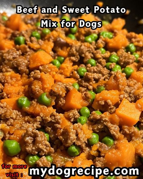 Homemade dog food recipes | Beef and Sweet Potato Mix for Dogs 🥩🍠 | Facebook Ground Beef Dog Food Recipes, Dog Food Recipes Beef, Dog Gravy Recipe, Food Recipes Beef, Dog Gravy, Beef And Sweet Potato, Sweet Potato Crunch, Mashed Sweet Potato, Recipes Using Ground Beef