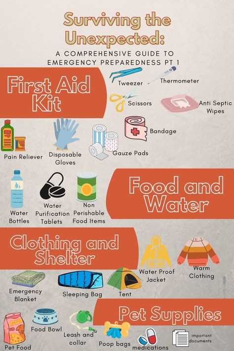 What To Pack For Emergency Evacuation, Go Bag For Car, Emergency Packing List, Apocalypse Bag Essentials, Homeless Hacks, Emergency Kit For Home, Go Bag Emergency, Emergency Bag Essentials, Stock Organization