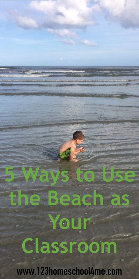 Homeschool Beach Activities, Beach Field Trip Activities, Beach Homeschool Ideas, Beach School Activities, Preschool Beach Activities, Road Schooling, Ideas For Learning, Homeschooling Preschool, Vacation 2023