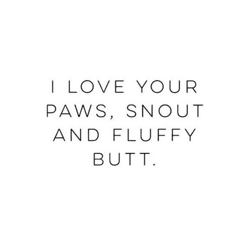 MCM My dogpawrents mydog dogs dogquotes favorite subscriptionbox Dog Thoughts Quotes, Dog Letterboard Quotes, Quotes About Dogs Being Best Friends, Dogs Quotes Love, Cute Dog Quotes Short, Me And My Dog Quotes, I Love My Dog Quotes, Love Dogs Quotes, Dog Life Quotes