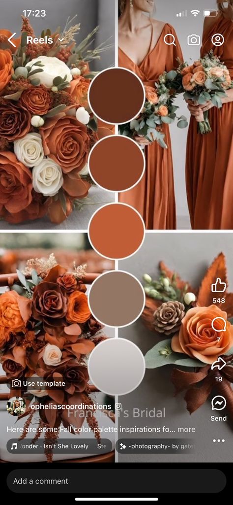 Wedding Color Pallets Fall, Fall Color Schemes, Colours That Go Together, Wedding Color Pallet, Fall Wedding Color Palette, Color Palette Challenge, Bridesmaid Colors, Colour Pallets, Wedding Colours