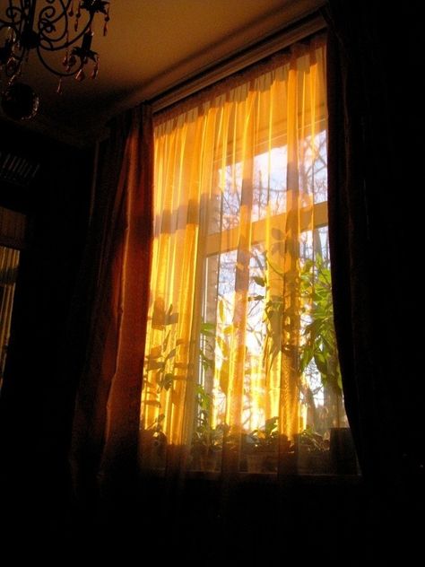 Sunshine Photography, City Life Photography, The Good Witch, Window View, Morning Light, Aesthetic Bedroom, Aesthetic Photo, The Window, Instagram Aesthetic