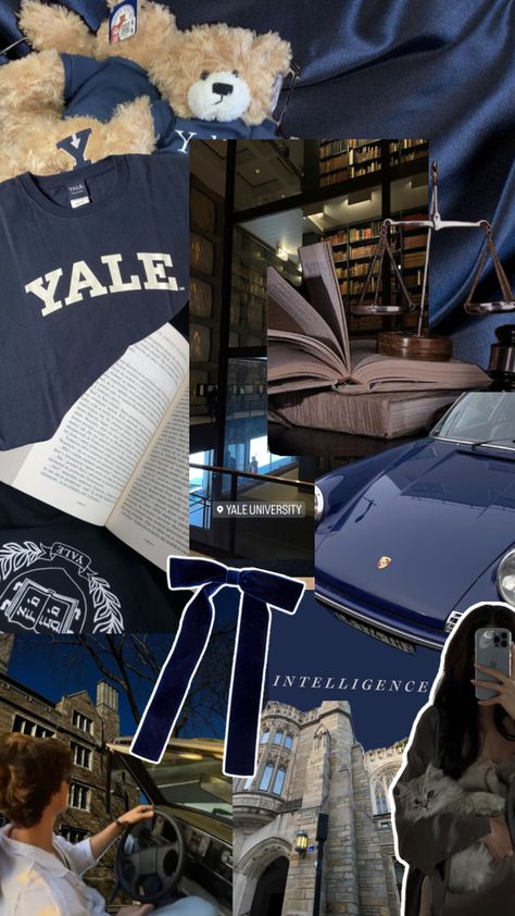 Yale Law, University Inspiration, University Aesthetic, Yale Law School, College Vision Board, Veterinary School, Ivy League Schools, College Life Hacks, American University