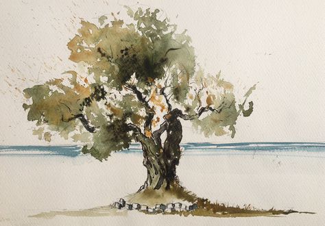 Olive tree. Watercolor, pen. Olive Tree Watercolor Paintings, Olive Tree Sketch, Olive Tree Watercolor, Olive Tree Illustration, Olive Tree Drawing, Olive Tree Art, Birch Tree Mural, Olive Tree Painting, Watercolour Sketchbook