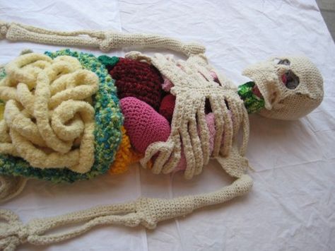 Crocheted skeleton, complete with organs! Would have been helpful in my massage school days Life Size Skeleton, Art Au Crochet, Crochet Pour Halloween, Knit Art, Halloween Crochet, Fun Crafts For Kids, Crochet Art, Crochet For Kids, Crochet Afghan