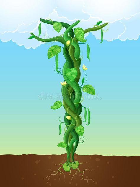 The beanstalk. Vector illustration of a bean stalk on the fairy tale Jack and th #Sponsored , #Sponsored, #Affiliate, #Vector, #bean, #tale, #illustration Growth Illustration, Bean Stalk, Naruto Sketch Drawing, Flora Design, Naruto Sketch, Jack And The Beanstalk, The Fairy, Cellphone Wallpaper, Story Time