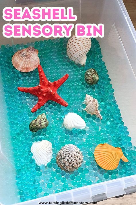 Easy Seashell Sensory Bin for Kids.    This is a fun sensory activity for kids to play with this Summer.    #summer #sensory #preschool #kindergarten Sensory Bin Ocean Theme, Summer Sensory Bin Preschool, Beach Lesson Plans Preschool, Toddler Experiments, Sensory Bins For Kindergarten, Sensory Kindergarten, Summer Sensory Activities, Beach Sensory Bin, Summer Sensory Bin