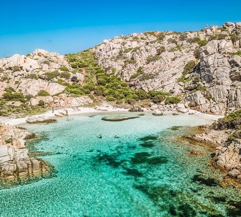 Excursions to la Maddalena Archipelago by vintage sailing boats Maddalena Archipelago, Vintage Sailing, Sailing Boats, Vintage Boats, Caribbean Beaches, Boats Luxury, Boat Trips, Boat Tours, Sardinia