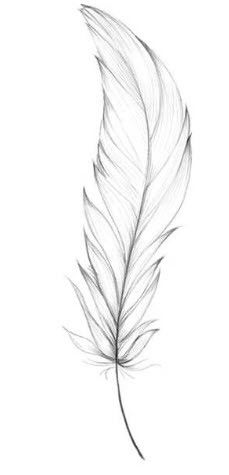 Simple Feather Tattoo, Feather Drawing, Dragon Tattoo For Women, Feather Tattoo Design, Tattoo Zeichnungen, Initial Tattoo, Arrow Tattoo, Celtic Tattoos, Feather Tattoo