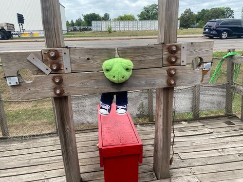 A build a bear frog in a guillotine at treasure city Build A Bear Frog Names, Bab Frogs, Frog Pics, Build A Bear Frog, Build A Bear Outfits, Frog Pictures, Cute Squishies, Teddy Bear Picnic, Bear Outfits