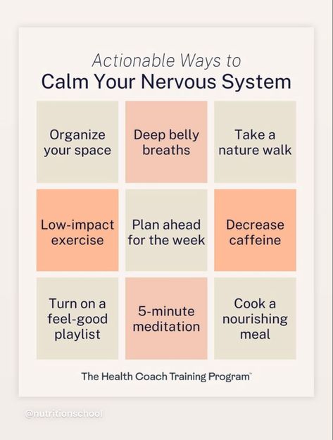 Calm Your Nervous System, Burnout Recovery, Grounding Techniques, Parasympathetic Nervous System, Exercise Plan, Vagus Nerve, Life Routines, Nature Walk, Central Nervous System