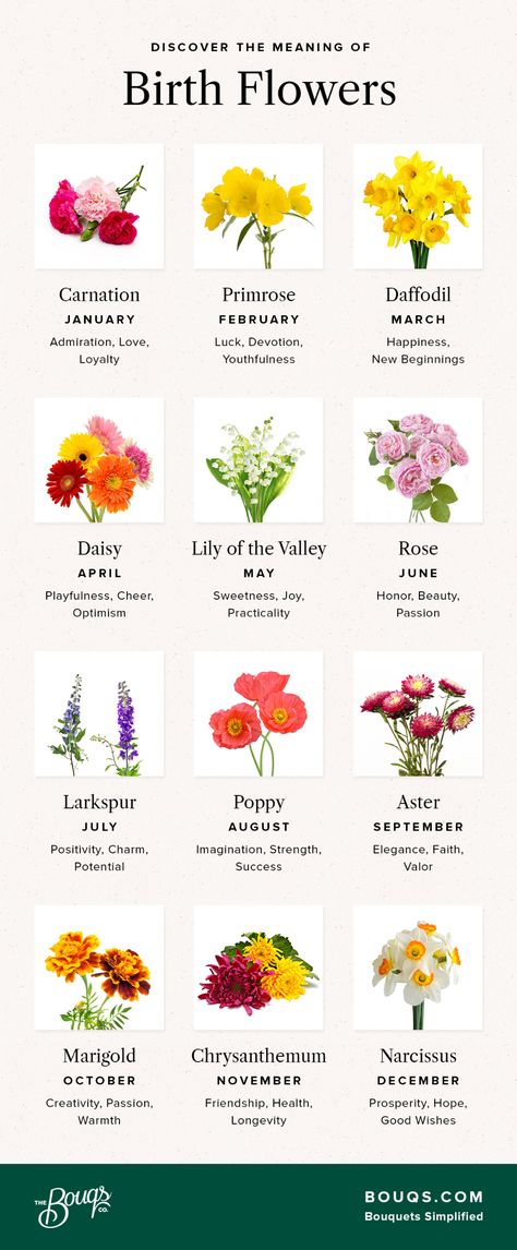 Flowers Chart, September Birth Flower, November Birth Flower, March Birth Flowers, January Birth Flowers, April Birth Flower, September Flowers, Muster Tattoos, Birth Flower Tattoos