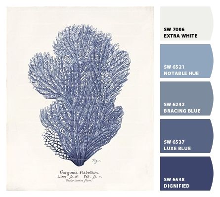 Blue Paint Pallets For Home, Sherwin Williams Luxe Blue, Luxe Blue Sherwin Williams, Home Office Paint Colors, Home Office Paint, Paint Colors Sherwin Williams, Indoor Paint Colors, Coral Palette, Sherwin Williams Blue