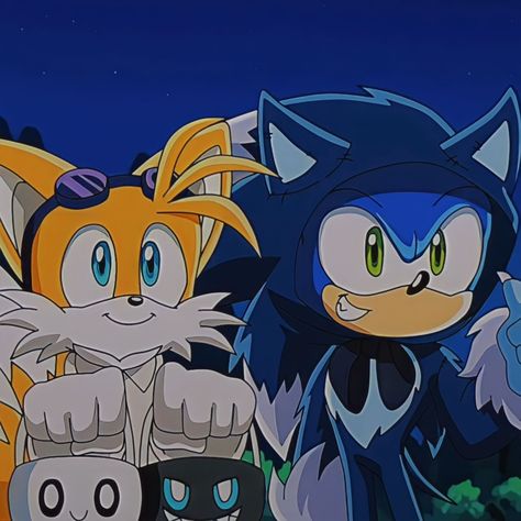 Tails Sonic, Sonic Heroes, Sonic Funny, Sonic 3, Blue Hedgehog, Sonic Franchise, Hedgehog Art, Sonic Adventure, Sonic And Shadow