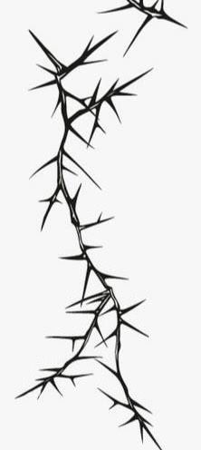 Thorn Border Design, Thorns And Leaves Tattoo, Thorn Branch Tattoo, Thorn Neck Tattoo, Thorny Vine Tattoo, Thorn Illustration, Thorns Tattoo Design, Thorn Vines, Thorn Embroidery