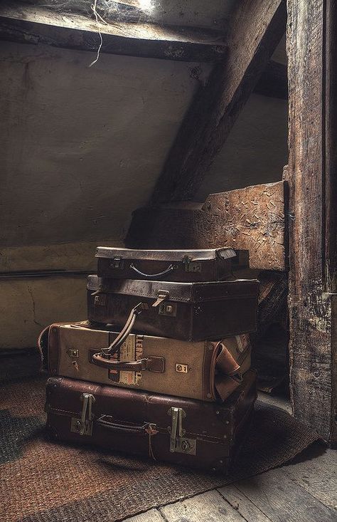 متحف فني, Dark Acadamia, Chaotic Academia, Old Suitcases, Vintage Suitcases, Vintage Suitcase, Vintage Luggage, Dark Academia Aesthetic, Academia Aesthetic