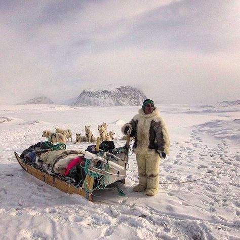 Eskimo Inuit Aesthetic, Greenland Landscape, Left Hand Of Darkness, Polar Expedition, Thea Stilton, Greenland Travel, Inuit People, Winter Lights, Dog Sled