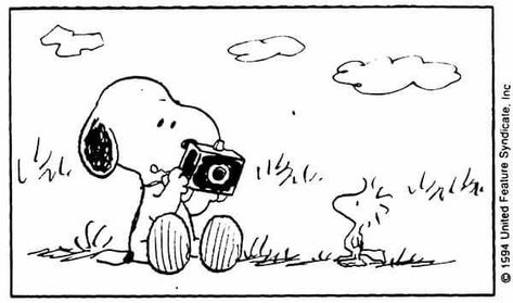 Snoopy Taking Pictures, Snoopy With Camera, Snoopy Camera, Snoopy Funny, Taking A Picture, Snoopy Pictures, Vision Boards, Peanuts Snoopy, Woodstock