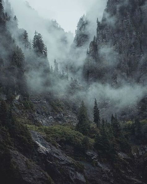 Folk Scenery on Instagram: “💚 Which one is your favorite! Photo by @shreddin_kevin #folkscenery Follow us @folkscenery for more!” Dark Naturalism, Dark Mountains, Dark Forest Aesthetic, Mountain Aesthetic, Mountains Aesthetic, Foggy Mountains, Castle Aesthetic, Fantasy Worlds, Foggy Forest