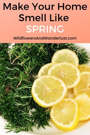 Use a simmer pot to make your home smell like spring instantly.  Here's an easy recipe to follow and more combinations to try to get a fresh, clean scent in minutes using all natural ingredients! WildflowersAndWanderlust.com #natural #organic #clean #fresh #lemon #rosemary #herbs Smell Like Spring, Simmer Pot Recipes, Simmering Potpourri, Rosemary Water, Potpourri Recipes, Hanging Herbs, Simmer Pot, House Smell Good, Lemon Rosemary