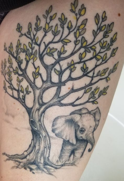 elephant tree of life thigh tattoo, mostly black and gray, some color. Realistic tattoo, baby elephant for my daughter with space on opposite side of tree for baby #2! Small Elephant Tattoo Ideas, Tattoo Tree Of Life, Small Elephant Tattoo, Elephant Tattoo Ideas, Bird Tattoo Sleeves, Elephant Outline, Tattoo Baby, Cousin Tattoos, Tattoo Tree