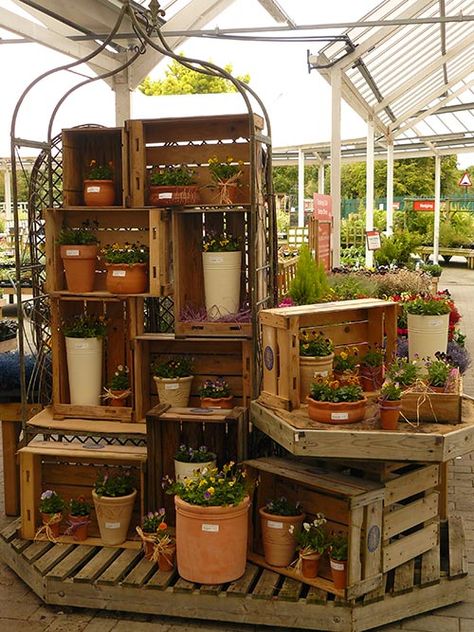 Tree Display Retail, Greenhouse Display Ideas, Garden Centre Displays, Greenhouse Display, Flower Shop Display, Garden Center Displays, Plant Display Ideas, Succulent Display, Small Nurseries