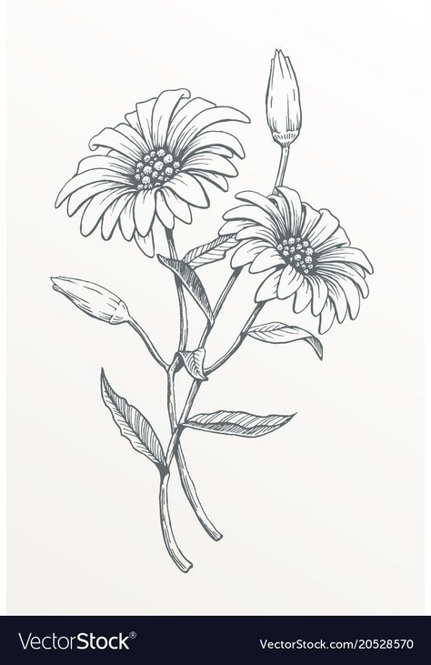 Pretty Flower Drawing, Hur Man Ritar Blommor, Easy People Drawings, Daisy Drawing, Mothers Day Drawings, Mom Drawing, Easy Flower Drawings, Easy Disney Drawings, Pencil Drawings Of Flowers