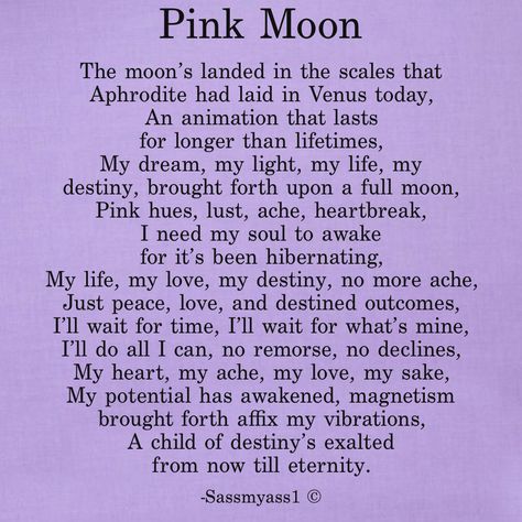 The pink moon shines 🌙💓 #pinkmoon #fullmoon #pink #moon #manifestation #poetry #poem #potential #societyofpoetry #poetsofinstagram #wordswithqueens #poetry #positivevibes #writerscommunity #quotestoliveby #wordporn #selflove #writingcommunity #poetrylovers #instadaily #poetryofinstagram #lifequotes #poetryisnotdead #poets #sassmyass1 #unapologeticbitch #sassmyass1spoetry Moon Manifestation, I'll Wait, Poetry Poem, Pink Moon, Writing Community, Poets, Full Moon, The Pink, Positive Vibes