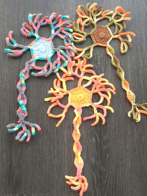 Crochet Neuron Pattern, Neuron Crochet Pattern, Science Knitting Patterns, Crochet Neuron Free Pattern, Crochet Neuron, Biology Crochet, Brain Crochet, Crochet Anatomy, Science Crochet