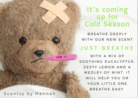 Just Breathe Scentsy Just Breathe Scentsy, Breathe Easy, Just Breathe, Cold Season, Things To Come