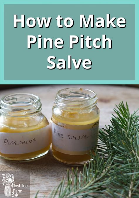 Pine Pitch Salve, Pine Salve, Pine Pitch, Drawing Salve, Farm Diy, Traditional Drawing, Salve Recipes, Herbal Salves, Ginger Benefits