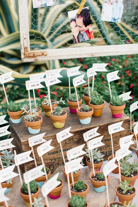 Plant Wedding Favors, Best Wedding Websites, Wedding Plants, Succulent Wedding Favors, Summer Wedding Decorations, Eco Wedding, Sustainable Wedding, Wedding Favors Cheap, Eco Friendly Wedding