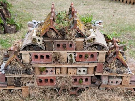 Many beneficial garden insects, such as ladybugs and ground beetles, struggle to find habitats in our neat gardens. Consider creating an attractive wildlife wall to lure them in and keep them happy. Bug Hotel, Insect Hotel, Garden Insects, Wildlife Gardening, Have Inspiration, Old Bricks, Organic Gardening Tips, Unique Gardens, Edible Garden