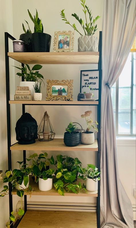 Bookcase Styling Plants, Shelf For Dinning Room, Standing Shelves Decor, Plant Decor Bookshelf, Bookshelf Decor With Plants, Plant Shelf In Living Room, Plants In Bookshelves, Book Shelves With Plants, Plant Bookshelf Indoor