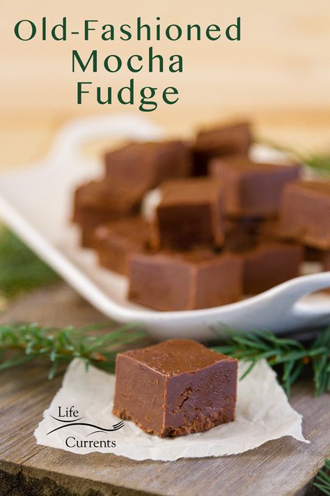 A piece of fudge on a piece of paper in front of a tray full of fudge Mocha Fudge Recipes, Creamy Dessert Recipes, Mocha Fudge, Hot Fudge Cake, Dessert Cravings, Hot Chocolate Fudge, Fat Food, Chocolate Pictures, Party Food Dessert