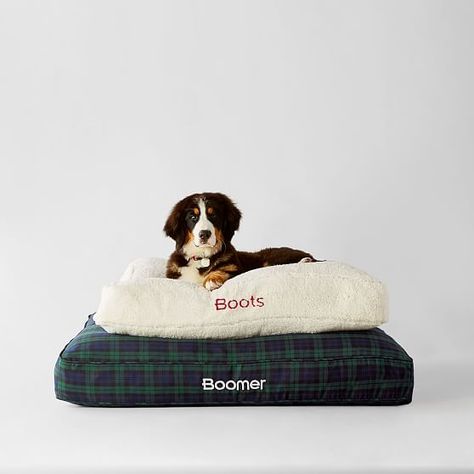 Sherpa Dog Bed Cover, Ivory, Small Custom Monogrammed Pet Accessories Plaid Bed, Tech Jewelry, Covered Dog Bed, Types Of Cats, What Dogs, Indoor Dog, Mark And Graham, Dog Pet Beds, Outdoor Dog