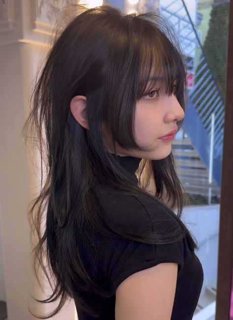 Korean Hime Haircut, Wolfcut Hair Long Unstyled, Layered With Bangs Long Hair, Layered Hime Haircut Long, Long Hush Cut With Bangs, Short Layers Haircuts For Long Hair, Layered Hime Cut With Bangs, Long Layer With Bangs, Side Bangs With Face Framing Layers