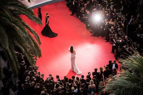 Red Carpet Aesthetic, Cannes Film Festival 2015, Cannes Red Carpet, Life Vision Board, Sean Penn, Idris Elba, Tilda Swinton, Anthony Hopkins, Austin Butler