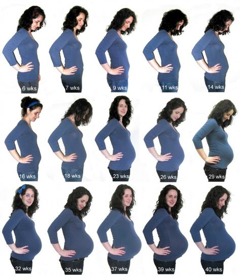 Weekly baby bump pictures: 20 ideas to inspire — The Organized Mom Life Weekly Baby Bump Pictures, Bump Progression, Twin Pregnancy Belly, Small Baby Bump, Baby Bump Progression, Baby Bump Pictures, Bump Pictures, Baby Name Generator, Pregnancy Progression