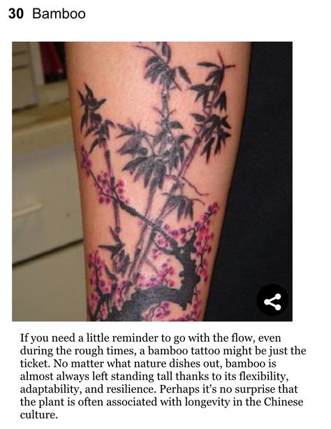 Bamboo tattoo and its meaning Tree Leg Tattoo, Chinese Bamboo Tree, Tattoos That Mean Something, Tree Tattoo Meaning, Mother Nature Tattoos, Bamboo Tattoo, Small Tats, Chinese Bamboo, Tree Tattoo Designs