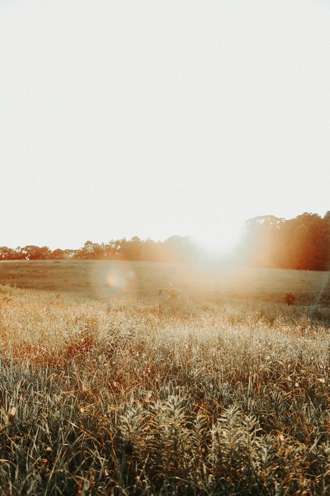 Morning Light Aesthetic, Pastoral Aesthetic, Light Aesthetic, Birds In The Sky, Gods Creation, Morning Light, Magical Places, Pretty Places, Mother Earth