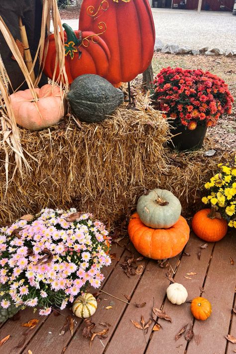 Jayme Core, Autumn Homestead Aesthetic, Cottage Core Outfit Ideas, Autumn Nostalgia Aesthetic, Autumn Aesthetic Pumpkin, Pumpkin Farm Aesthetic, Autumn Aesthetic Pumpkin Patches, Cute Pumpkins, Fall Cottage