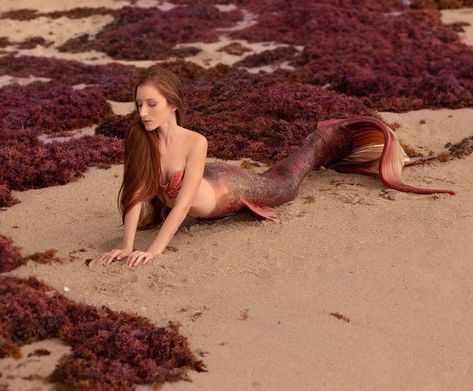 Seaweed Mermaid, Mermaids Exist, Real Mermaid, Concept Vehicles Sci Fi, Whale Song, Real Mermaids, Mermaid Under The Sea, Treasure Coast, Mermaid Pictures