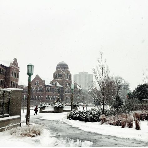 Loyola University of Chicago but beautiful campus. Unknown photo credit Loyola Chicago Aesthetic, Loyola University Chicago Aesthetic, Loyola University Chicago Dorm, University Ideas, Loyola University Chicago, College Vision Board, Chicago Aesthetic, Loyola Chicago, Chicago Winter