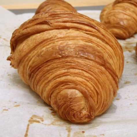 The Cooking of Joy: Traditional Croissants Traditional Croissant Recipe, Thomas Keller Recipes, Crossiant Recipes, Crossant Recipes, Almond Croissants, Chocolate Croissants, French Croissant, Bouchon Bakery, Homemade Croissants