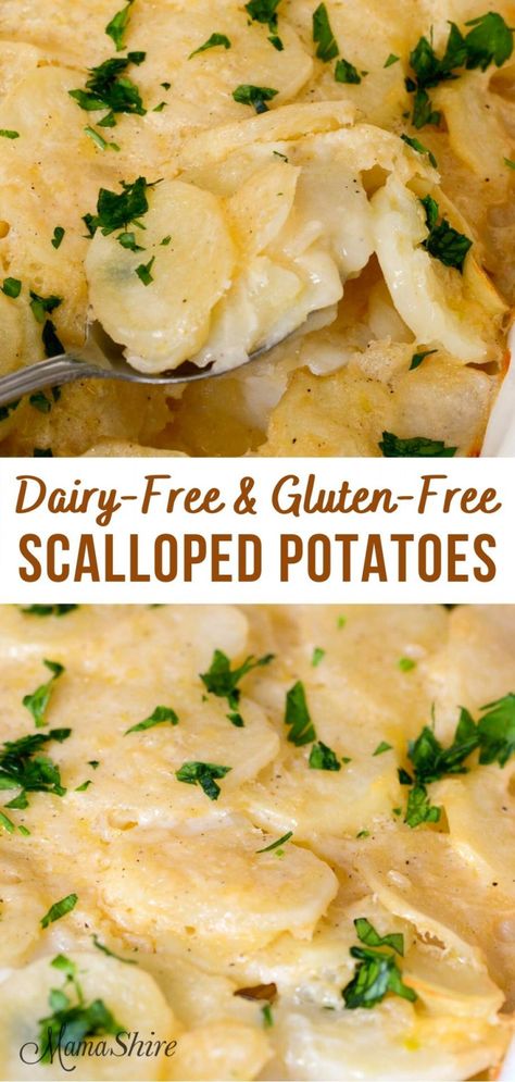 Creamy and comforting dairy-free scalloped potatoes are baked in a delicious white sauce that's full of flavor with onions, garlic & broth. And they're gluten-free! #dairyfreerecipes #glutenfreerecipes #glutenfreedairyfree #potatoes Gluten Free Dairy Free Recipes Dinner Easy, Gluten And Dairy Free Recipes For Lunch, Easter Dinner Ideas Gluten And Dairy Free, Vegan Non Dairy Recipes, Processed Free Meals, Yummy Gluten Free Meals, Light Gluten Free Dinner, Dairy Free Soy Free Recipes Dinner, Dinner Ideas Gluten Free Dairy Free