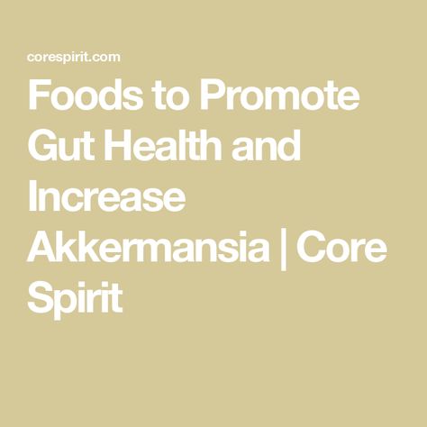 Foods to Promote Gut Health and Increase Akkermansia | Core Spirit Akkermansia Benefits, Gaps Diet, Pistachios Nuts, Liver Detoxification, Navy Bean, Chicory Root, Dandelion Root, Big Salad, Probiotics Supplement