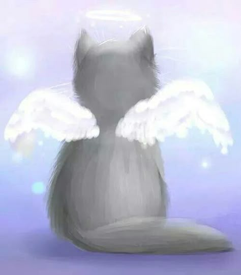 Gato Angel, Animal Spirit Guide, Cat Obsession, Pet Remembrance, Pet Ideas, Angel Cat, Lost Cat, Cat Memorial, Cat Boarding